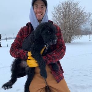 Meet your Posher, Dylan